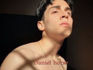 Daniel_horse