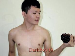 Darkboy18