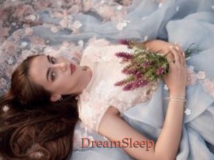 DreamSleep