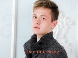 Davidniceking