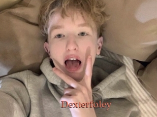 Dexterfoley