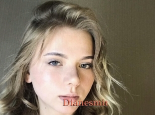Dianesmit