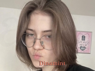 Dinamint