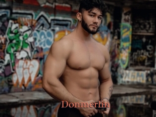 Donmerlin