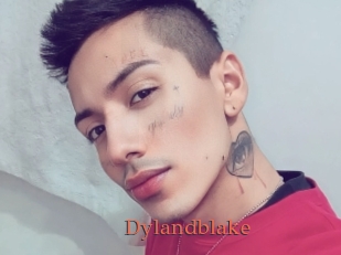 Dylandblake