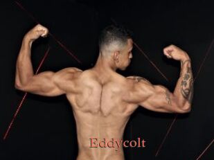 Eddycolt