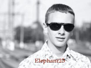 Elephant25