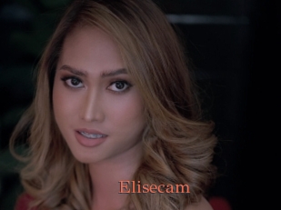 Elisecam