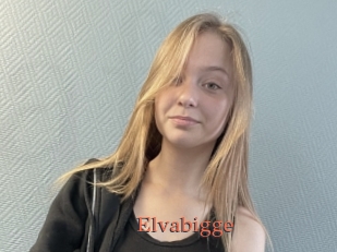 Elvabigge