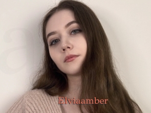 Elviaamber