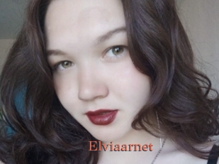 Elviaarnet