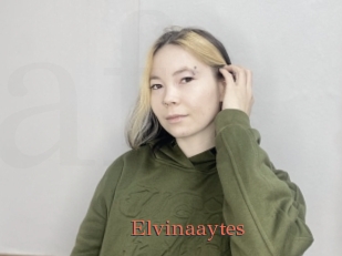 Elvinaaytes