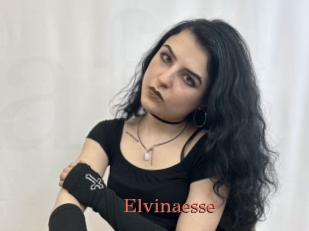 Elvinaesse