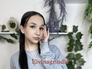 Elvinagrindle