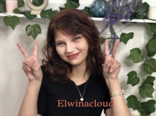 Elwinacloud