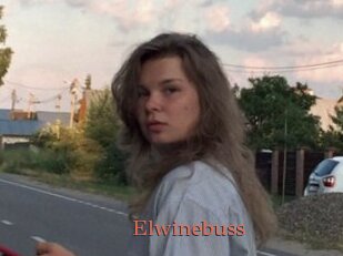 Elwinebuss