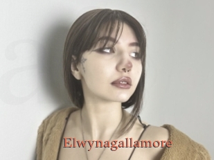 Elwynagallamore