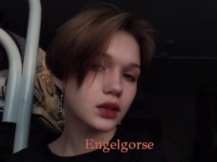 Engelgorse
