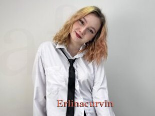 Erlinacurvin