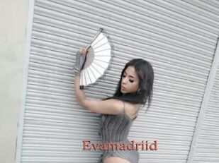 Evamadriid