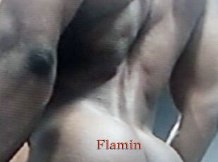 Flamin