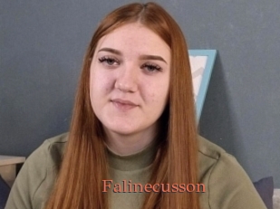 Falinecusson