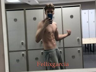 Fellixgarcia