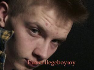 Funcollegeboytoy