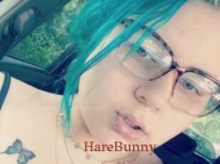 HareBunny