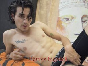 Harrys_bigstick