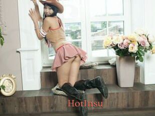 HotInsu