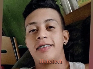 Habaledi