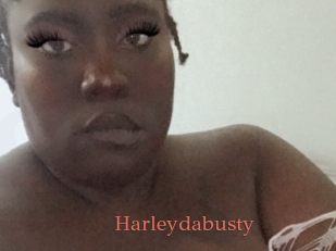 Harleydabusty