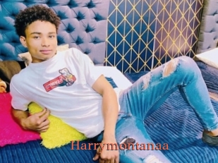 Harrymontanaa