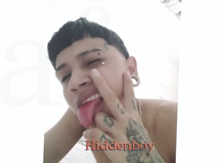 Hiddenboy