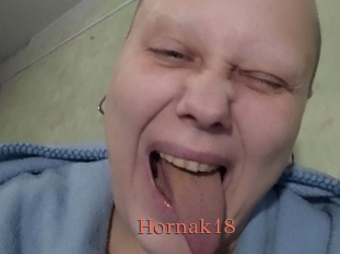 Hornak18