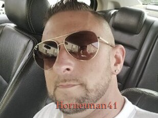 Hornetman41