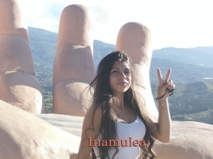 Inamulea