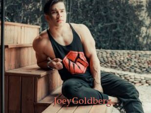 JoeyGoldberg