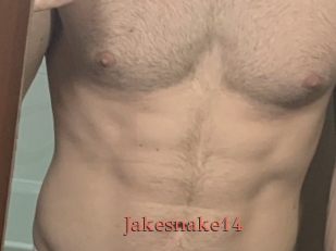 Jakesnake14