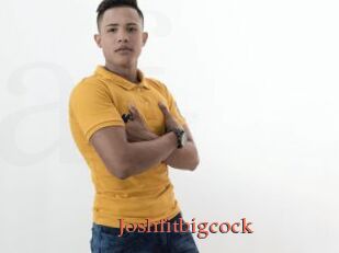 Joshfitbigcock