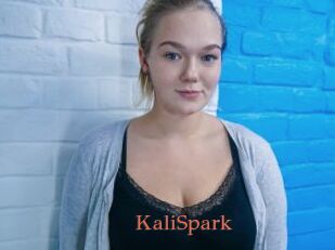KaliSpark