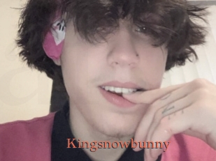 Kingsnowbunny