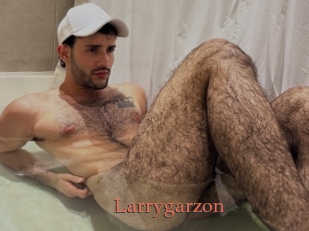 Larrygarzon