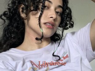 Lilythrose