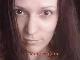 Mandragora