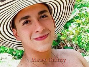 Mateo_Bunny
