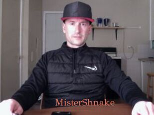 MisterShnake