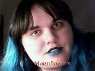 Moonflowers