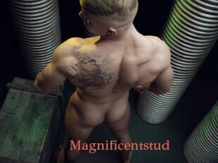 Magnificentstud